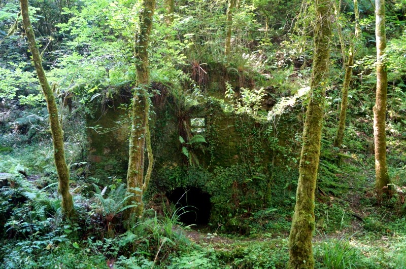 Los Molinos del Río Profundo (Villaviciosa) - Descubriendo Asturias (9)