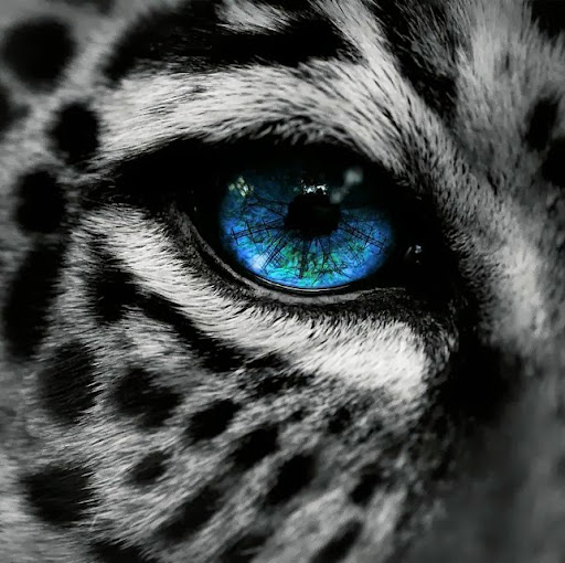 Healthcare Systems Slideshare Healthcare Systems Slideshare