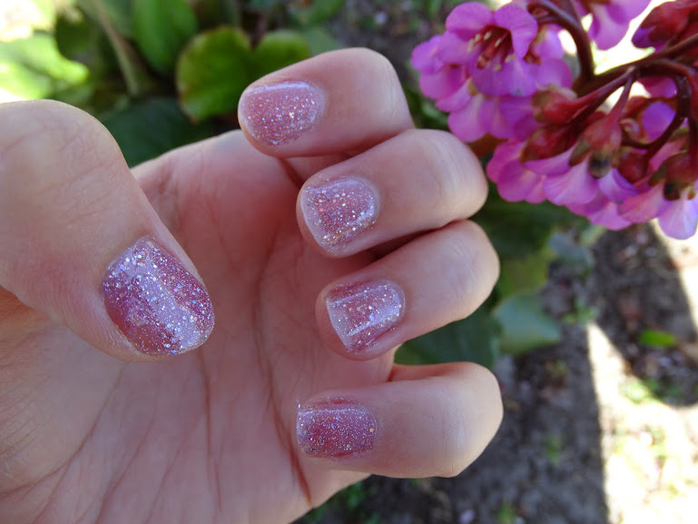 Miss Europe Collection Paillettes