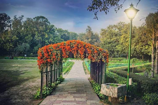 Rose Garden, Rose Garden Lodhi Road, Lodhi Gardens, Lodhi Estate, New Delhi, Delhi 110003, India, Park_and_Garden, state DL