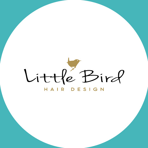 Little Bird Hair Design