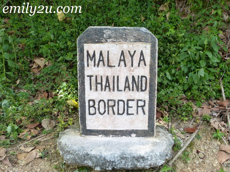 Malaysian border pass