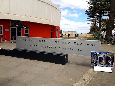 Photos of National Aquarium of New Zealand