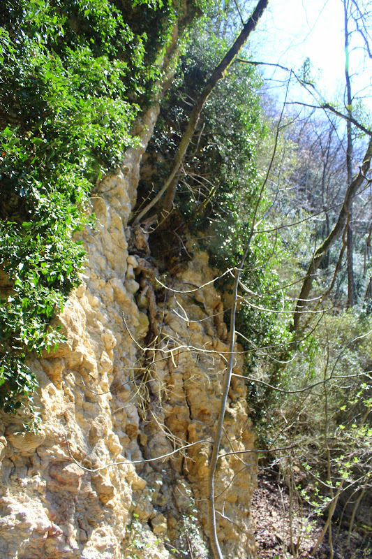 La cascade du Buizin IMG_2426