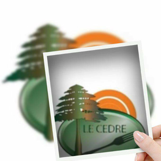 Le Cèdre - Libanesische, orientalische, arabische Spezialitäten! مطعم الأرزة .لبناني .شرقي. عربي، في ڤيينا النمسا