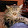 Nicholas Borko Nicholas Borko's profile photo