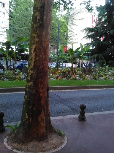 Vite et Bien