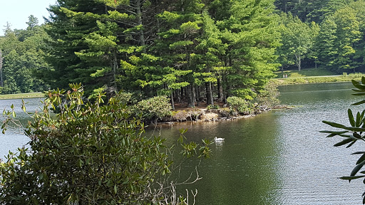 Moses H Cone Memorial Park