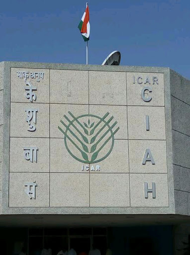Central Institute for Arid Horticulture, Sri Ganganagar Rd, Bichhwal, Beechhwal Rural, Rajasthan 334006, India, Research_Institute, state RJ