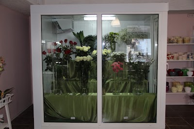 Photos of Art-Flora
