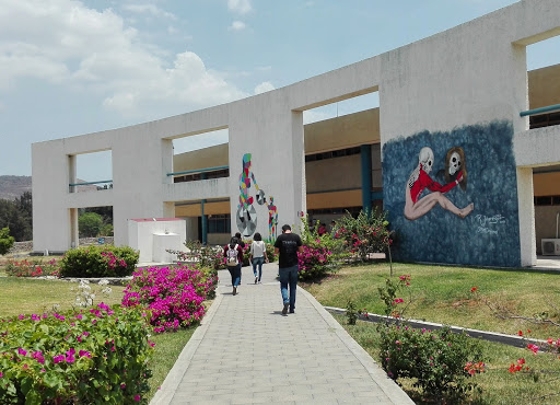 Universidad Politécnica de la Zona Metropolitana de Guadalajara, Carretera Tlajomulco - Santa Fé Km. 3.5 No.595, Lomas de Tejeda, 45641 Tlajomulco de Zúñiga, Jal., México, Instituto | JAL