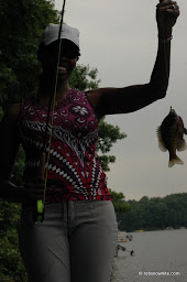 big bluegill