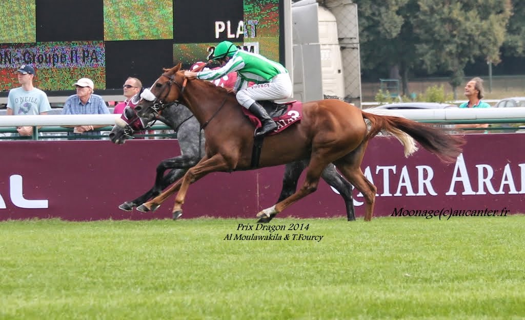 Photos Longchamp - préparatoires Arc 14-09-2014 IMG_3139