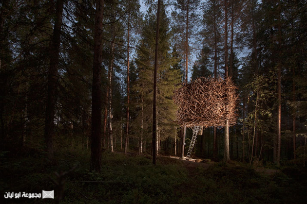 فندق من الطبيعة  عايزينك تكونى ضيفتنا Treehotel-photo-Peter-Lundstrom-yatzer-12