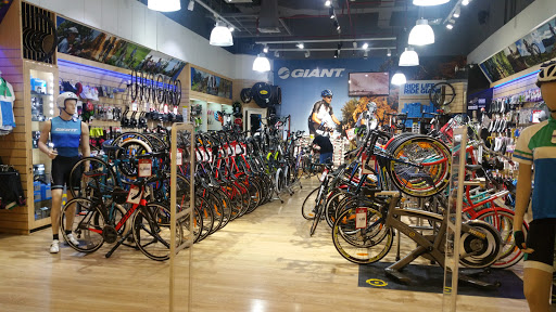 Ride Bike Shop, Midrif - Dubai - United Arab Emirates, Bicycle Store, state Dubai