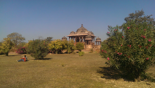 Ranthambore, Ranthambhore Road, National Park, New Delhi, Rajasthan 332021, India, Park_and_Garden, state RJ