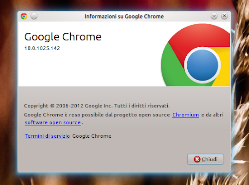 Google Chrome 18