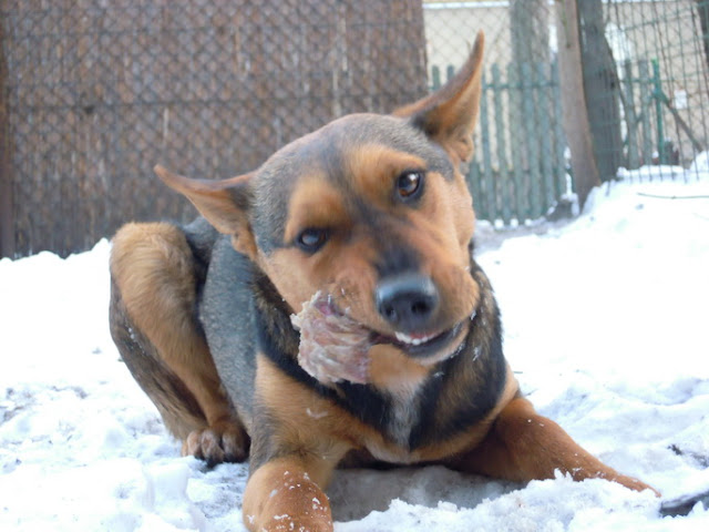 DSCN1887.JPG