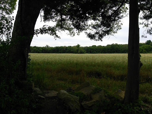 State Park «Dighton Rock State Park», reviews and photos, Bayview Ave, Berkley, MA 02779, USA