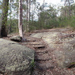 Track above Red Hands Cave (145431)