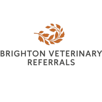 Brighton Veterinary Referrals logo