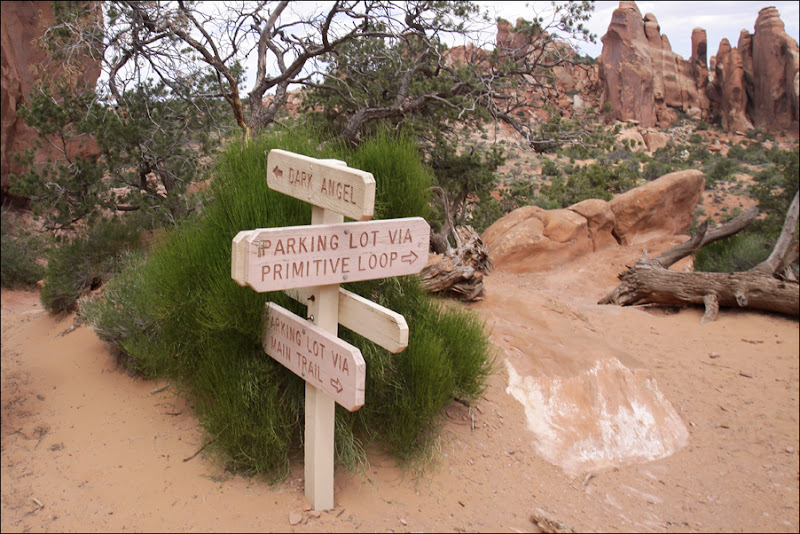 Devils Garden Arches National Park