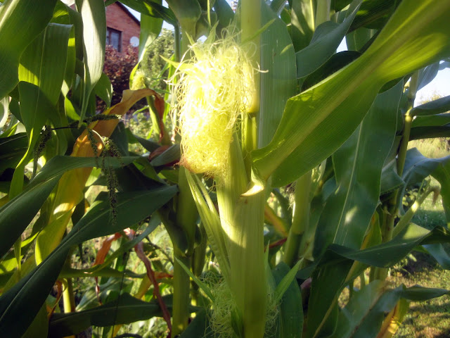 one day в кадрах