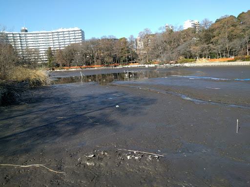 Inokashira Pond