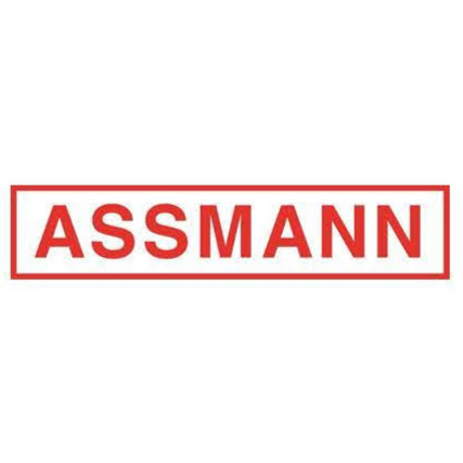 ASSMANN Swiss AG logo