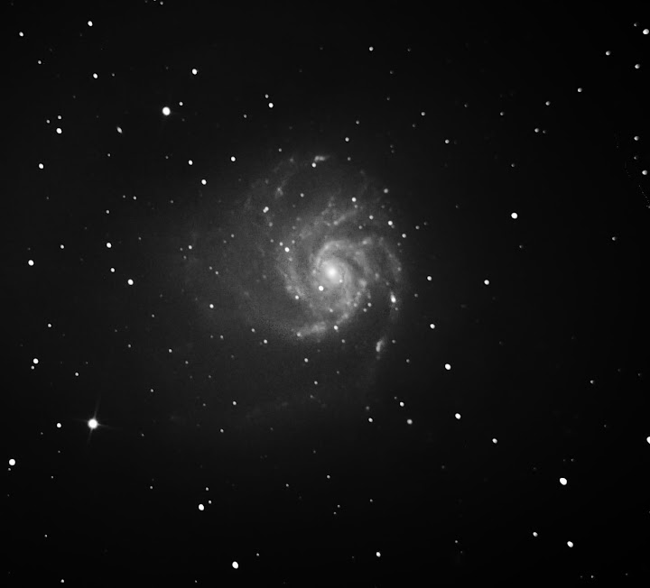 M101%2520bw.jpg