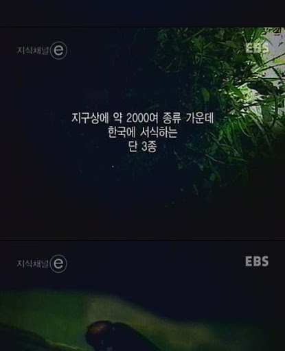 딜레마.jpg