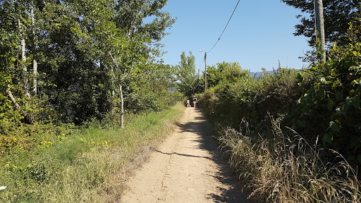 Praia Fluvial da Lomba