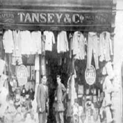 Tansey & Co logo