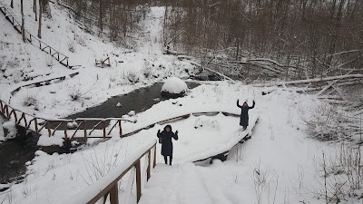 Photos of Jurki&scaron;kio upelio pažintinis takas
