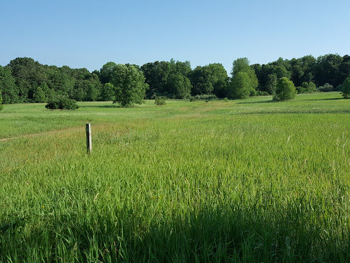 Nature Preserve «Al Sabo Land Preserve», reviews and photos, 6310 Texas Dr, Kalamazoo, MI 49009, USA