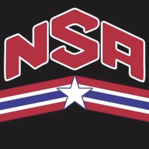 Nemesis Sports Academy logo