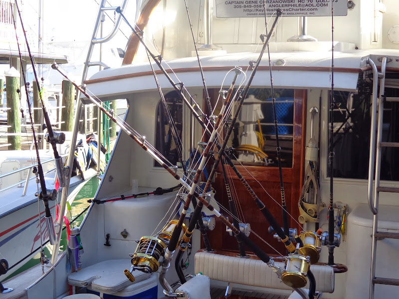 Честное октябрятское, на Евродаме можно жить! Октябрь 2013, круиз по Карибам