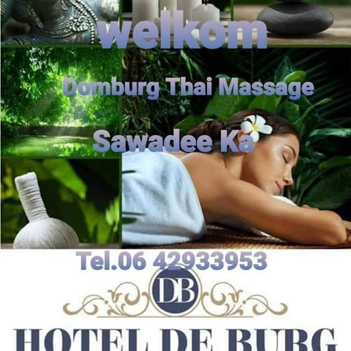 Domburg thai massage logo