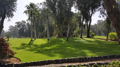 Photos of Golf club Med Les Dunes