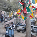 Photographies de Retour des Indes: Galerie "Jaipur: la ville rose"