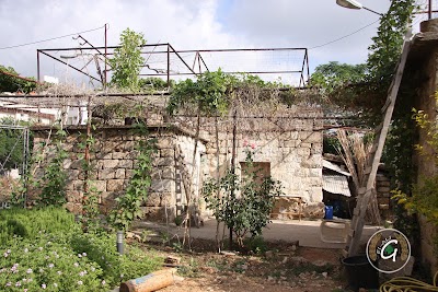 Photos of Jbeil Public Park