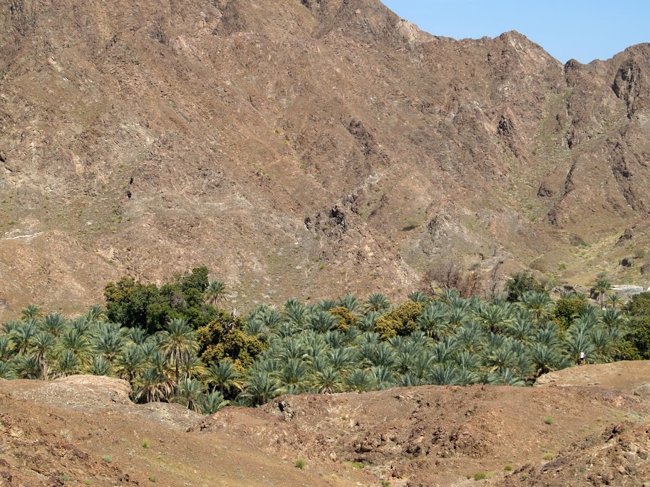 Nestled between sharp rocky mountains, the green oasis of Wadi Jazira indicates the presence of a constant water source. 