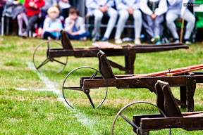 Vigevano Palio delle Contrade 2014