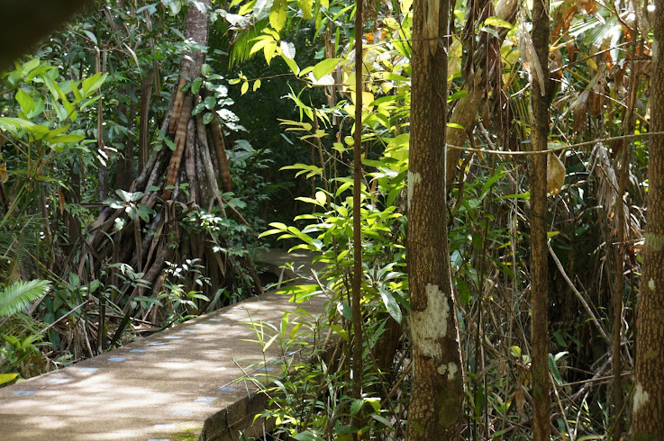 Китай, Вьетнам, Камбоджа и Тайланд на Новый Год 2013