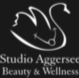 Studio Aggersee logo