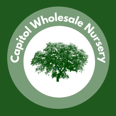 Capitol Wholesale Nursery, Inc.