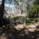 Track along Bournda Lagoon (105589)