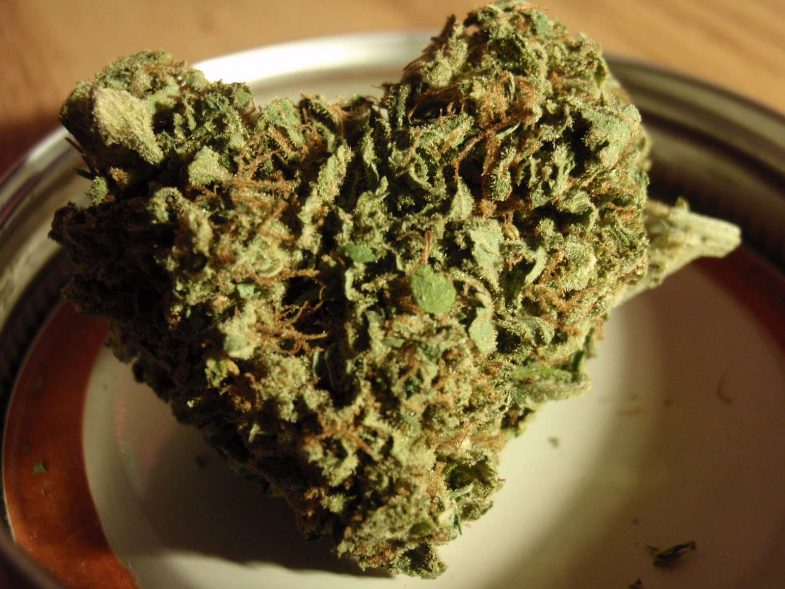 Maintain the Strain: Amnesia Haze