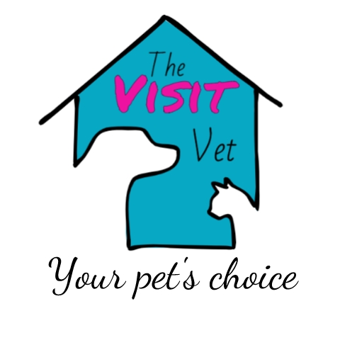 The Visit Vet logo