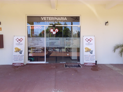 Veterinaria Terralta, Carretera Federal 200 Km 140, Terralta II, 63732 Bucerías, Nay., México, Cuidado de mascotas | NAY